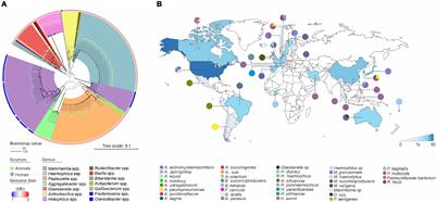 Mobile Genetic Elements Drive Antimicrobial Resistance Gene Spread in Pasteurellaceae Species